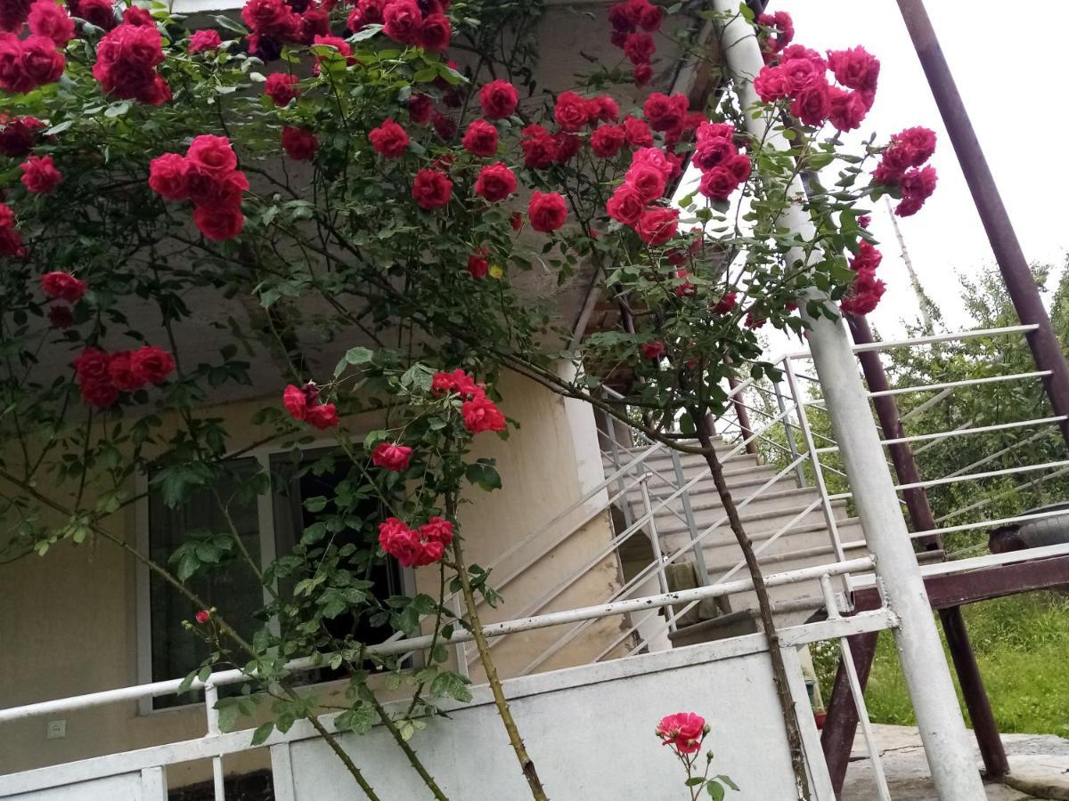 Mti House Hotel Kvesheti Екстериор снимка